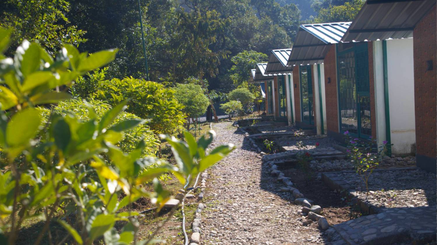 riverside camps in Rishikesh